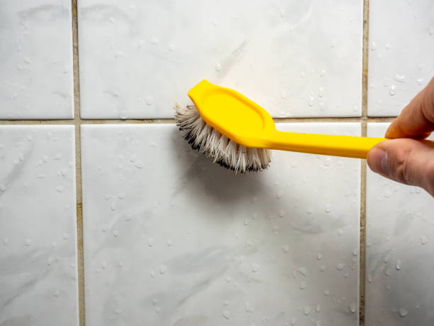 Best Mold Cleaning Services  in Munsey Park, NY
