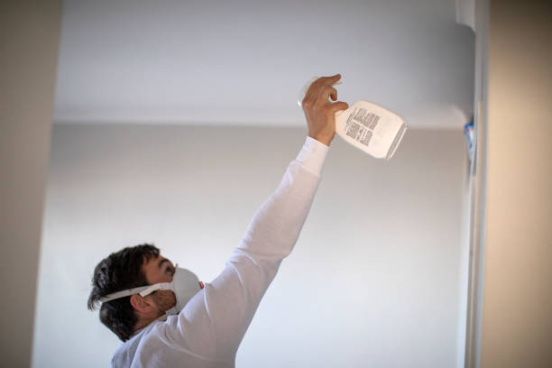 Best Home Mold Removal  in Munsey Park, NY
